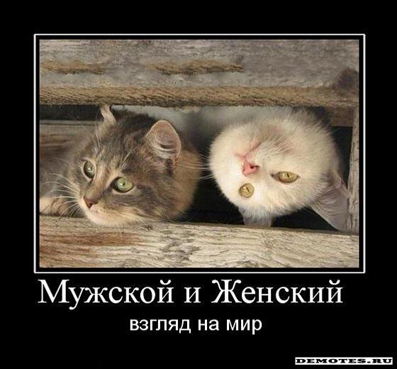 1285132168_muzhskoj-i-zhenskij-.jpg